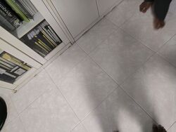 Blk 251 Choa Chu Kang Avenue 2 (Choa Chu Kang), HDB 4 Rooms #550294381